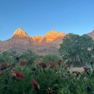 Leaving notice July 3rd, 2022